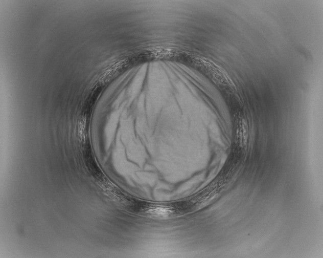 X0000115560610200912041055