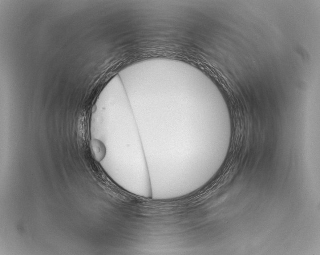 X0000115560612200912041054