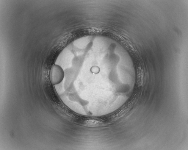 X0000115560614200912041054