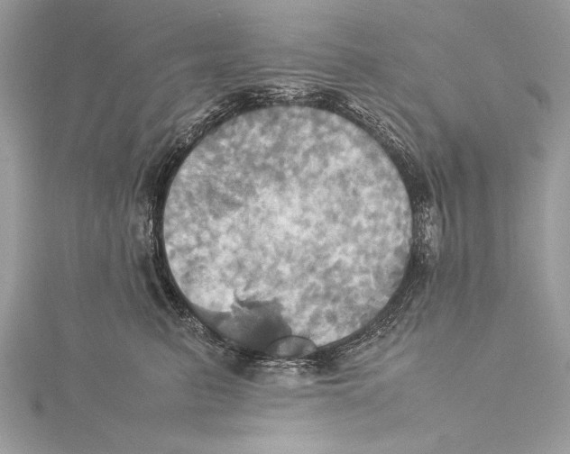 X0000115560615200912041054