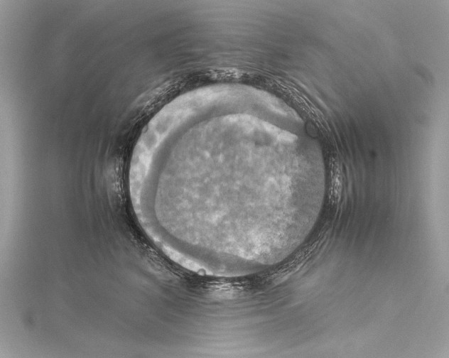 X0000115560616200912041054