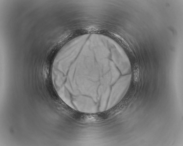 X0000115560618200912041054