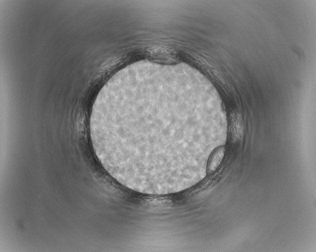 X0000115560619200912041054