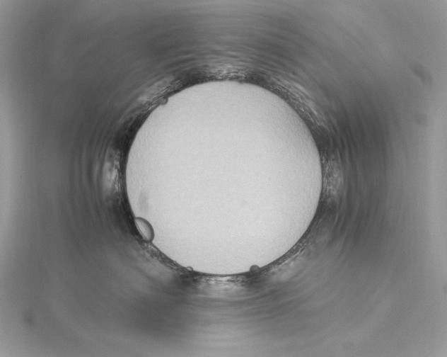 X0000115560622200912041054