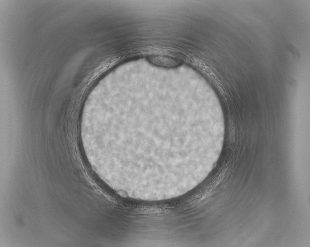 X0000115560625200912041054