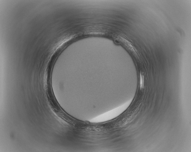 X0000115560627200912041054