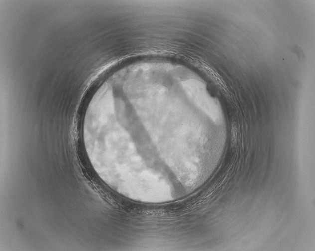 X0000115560628200912041054