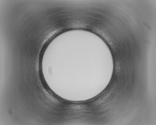 X0000115560629200912041054