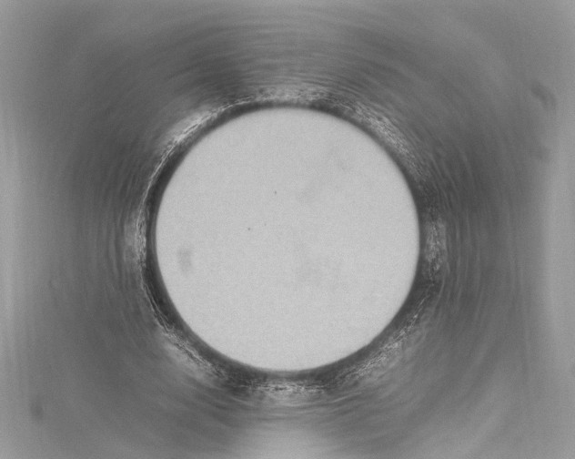 X0000115560632200912041054