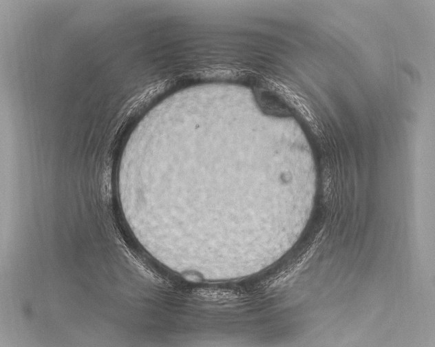 X0000115560633200912041054