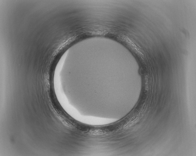 X0000115560634200912041054