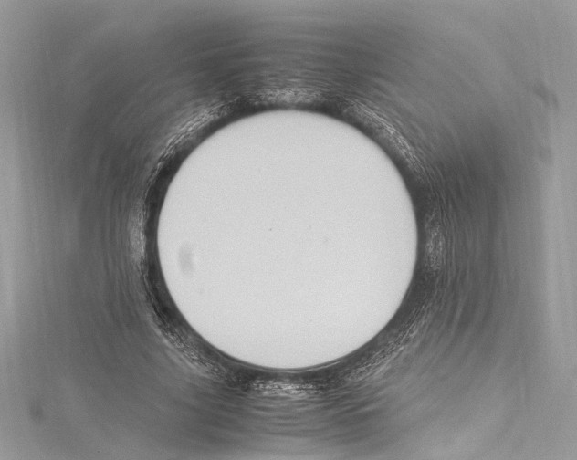 X0000115560635200912041054