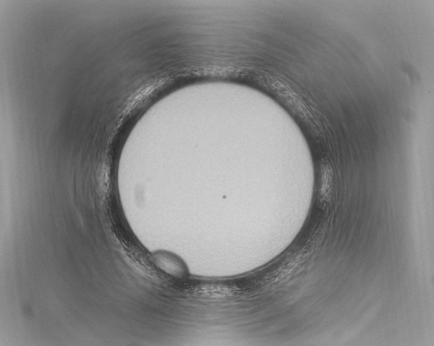 X0000115560636200912041054