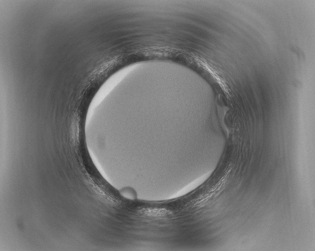 X0000115560637200912041054