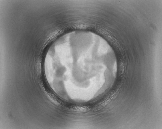 X0000115560638200912041054