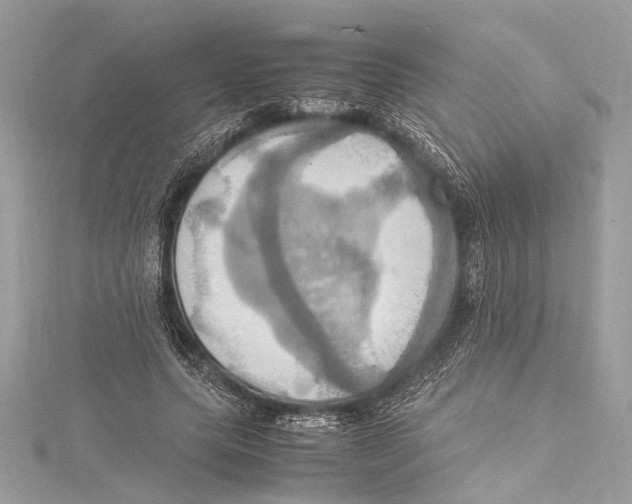 X0000115560639200912041054