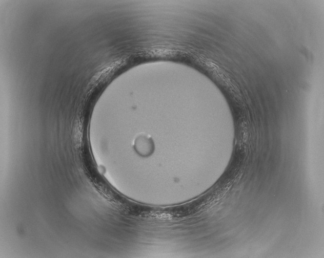 X0000115560640200912041054