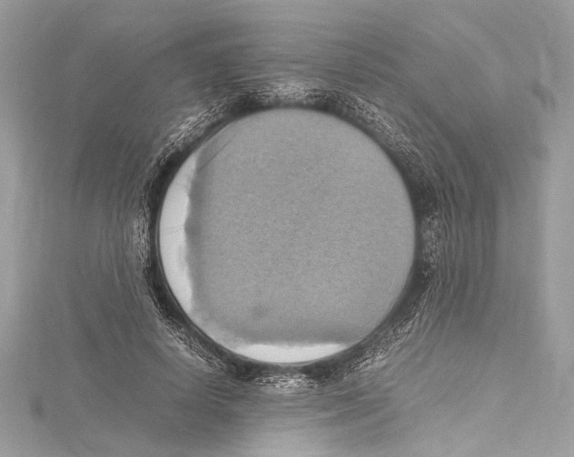 X0000115560642200912041054