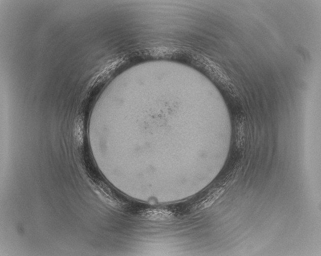 X0000115560644200912041054