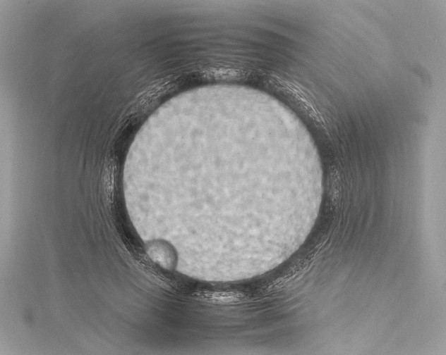 X0000115560645200912041054