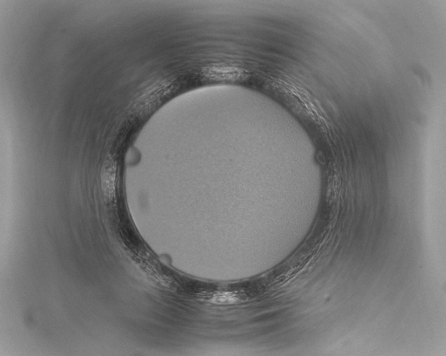 X0000115560647200912041054