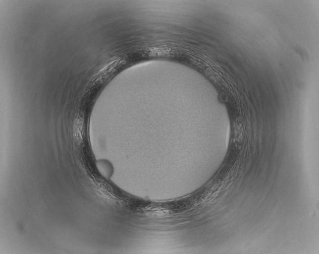 X0000115560648200912041054