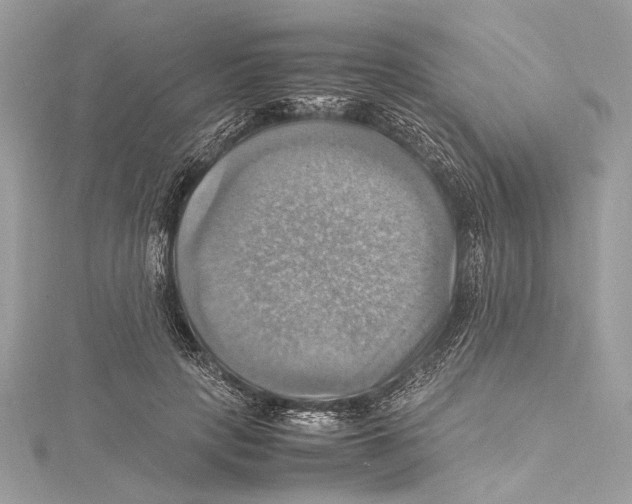 X0000115560649200912041054