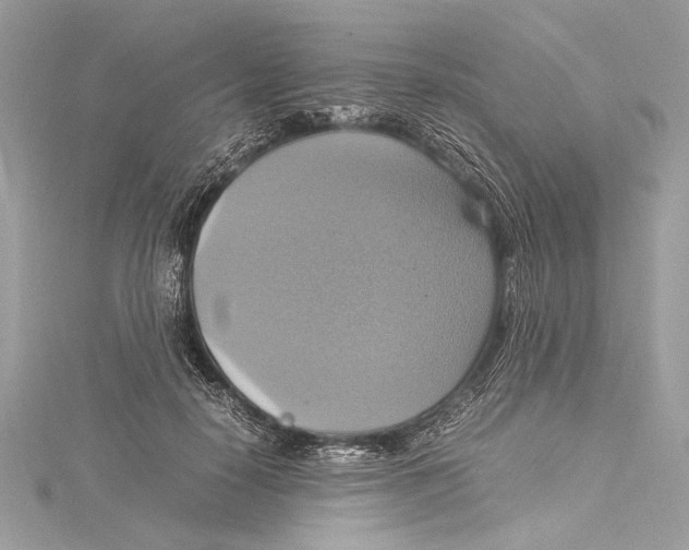 X0000115560650200912041054