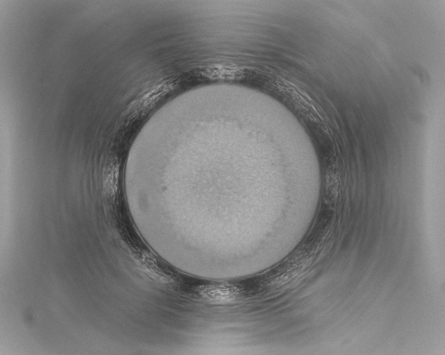 X0000115560652200912041054