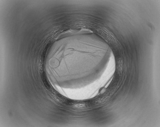 X0000115560653200912041054