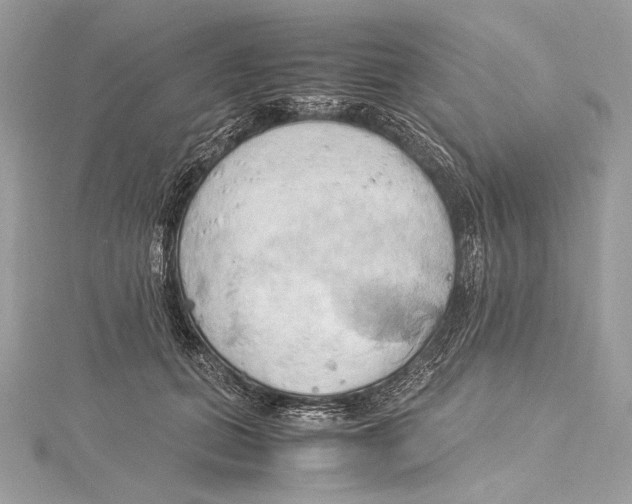 X0000115560655200912041054