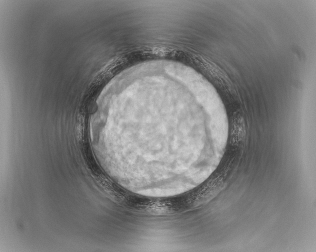 X0000115560656200912041054