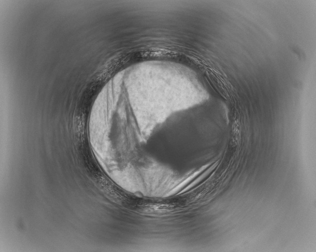 X0000115560657200912041054