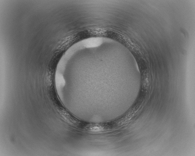 X0000115560658200912041054