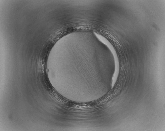 X0000115560661200912041054