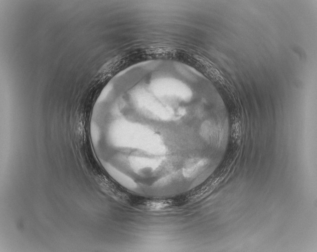 X0000115560662200912041054