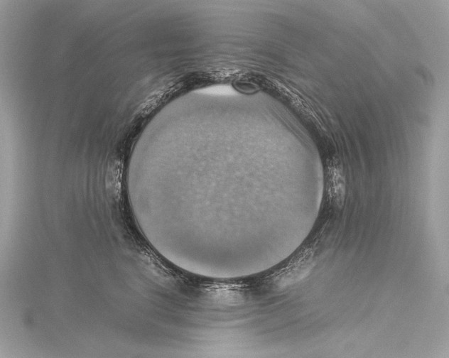 X0000115560664200912041054