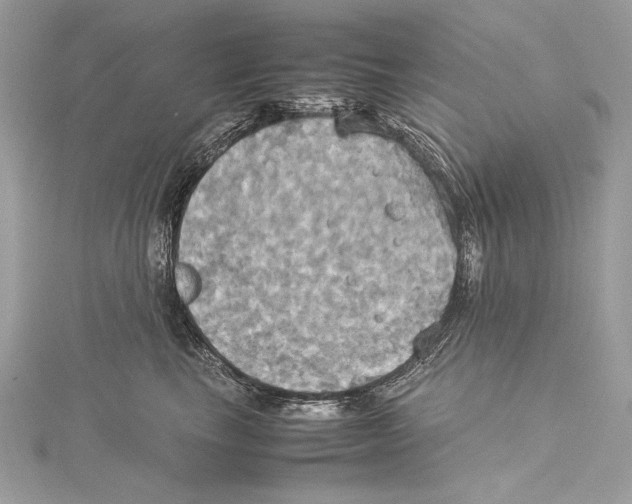 X0000115560665200912041054