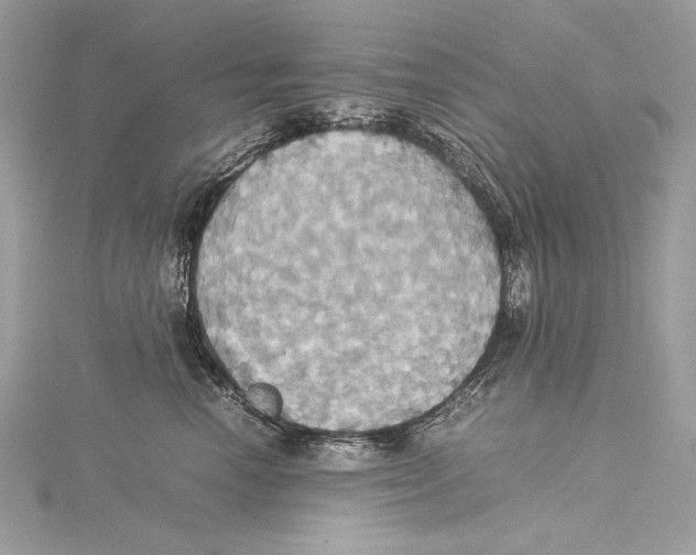 X0000115560666200912041054