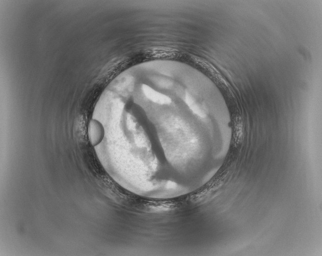 X0000115560667200912041054