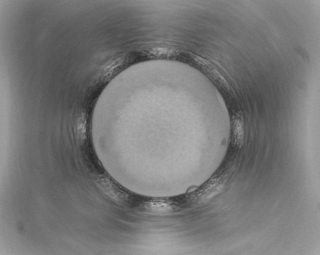 X0000115560668200912041054