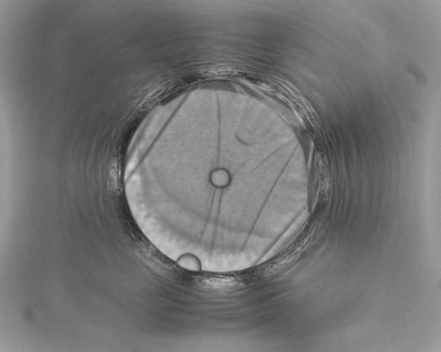 X0000115560669200912041054