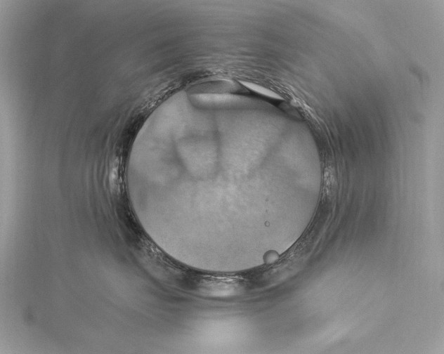 X0000115560671200912041054