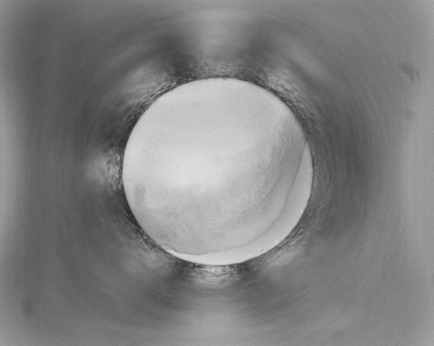 X0000115560672200912041054