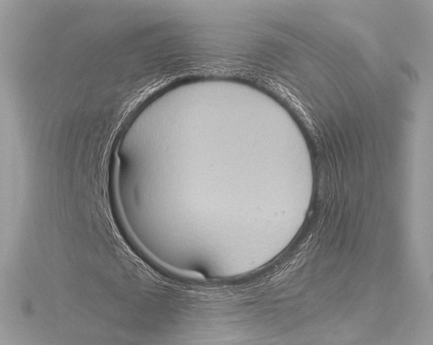 X0000115560673200912041054