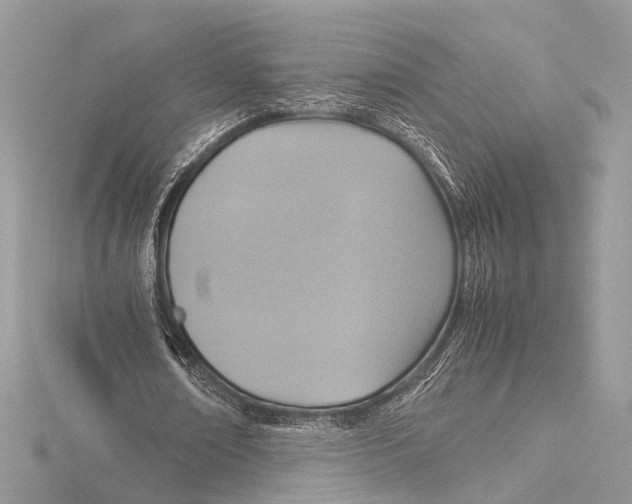 X0000115560674200912041054