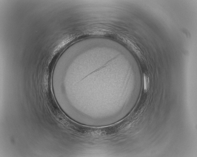 X0000115560675200912041054