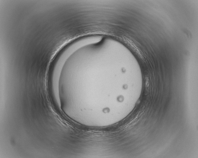 X0000115560676200912041053