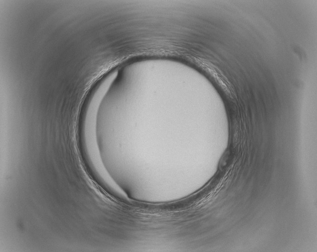 X0000115560677200912041053