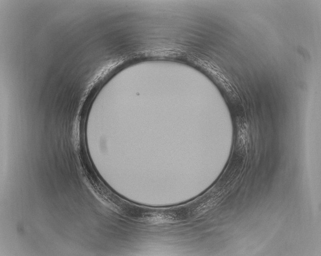 X0000115560678200912041053